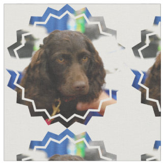 Boykin Spaniel Gifts on Zazzle
