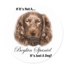 Boykin Spaniel Gifts stickers