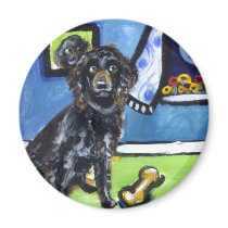Boykin Spaniel senses smiling moon magnets