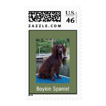 Boykin Spaniel Stamp by boykinspanielgal Boykin Spaniel Stamp