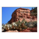 Boynton Canyon Card