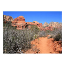 Boynton Canyon Floor Poster