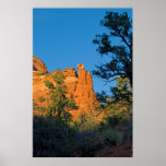 Boynton Canyon Trail 2356 Print