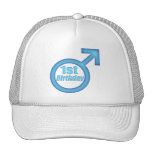 Boys 1st Birthday Hat