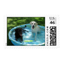Boys of Summer postage by Corgiandlab Boys of Summer postage