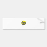 boys on mountain2 bumper stickers