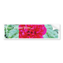 Bozur Bumper Stickers