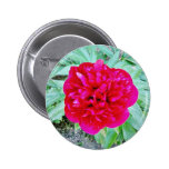 Bozur Button