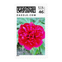 Bozur Postage Stamp