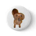 br.dachshund buttons