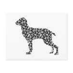 Bracco Italiano