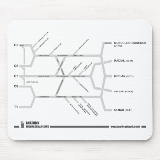 Brachial Plexus mouse mat Mouse Pads