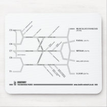 Brachial Plexus mouse mat Mouse Pads