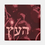 Brachot Magnet - Haetz magnets
