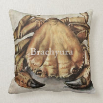 Brachyura Vintage Crab Illustration