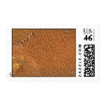 Bracket fungi, basidiomycetes species postage stamps