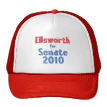 Brad Ellsworth for Senate 2010 Star Design Mesh Hat
