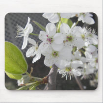 Bradford Pear 2 mousepads