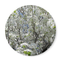 Bradford Pear in Bloom magnets by gmlehmann Bradford Pear in Bloom magnets