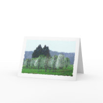 Bradford Pear Spring cards by StarLily Bradford Pear Spring cards