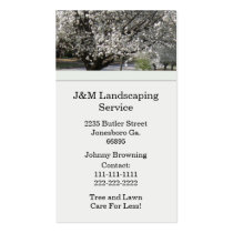 Bradford Pear Tree Business Card business cards