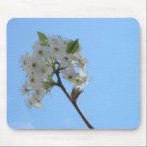 Bradford Pear Tree mousepads