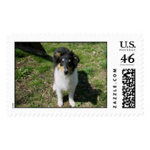 braedyn2 018 postage