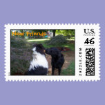 Braedyn n Bogart, New Friends postage
