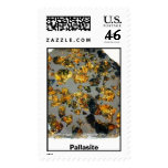 Brahin Postage