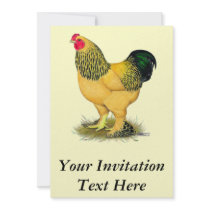 Brahma:  Buff Rooster Invitation