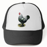 Brahma:  Dark Rooster hats