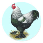 Brahma:  Dark Rooster Stickers