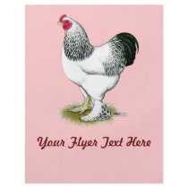 Brahma:  Light Rooster Personalized Flyer