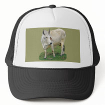 Brahman Cattle hats