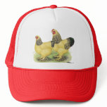 Brahmas:  Buff Bantams Mesh Hat