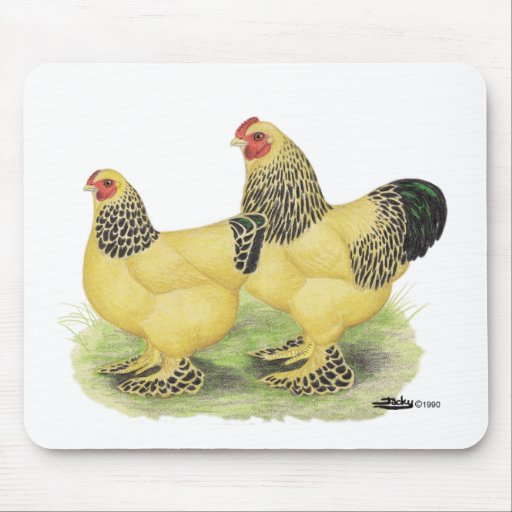 Brahmas:  Buff Bantams Mouse Pad