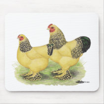 Brahmas:  Buff Bantams mousepads