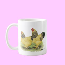 Brahmas:  Buff Bantams mugs