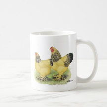 Brahmas:  Buff Bantams Mugs