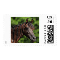 Braided Beauty Stamp