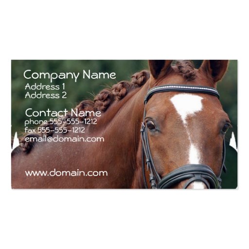 Braided Horse Mane Business Card