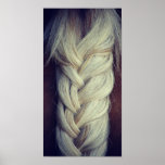 Braided Tail Poster