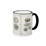 Brain anatomy print mug