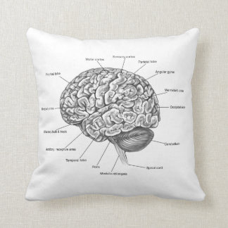 brain sleep pillow