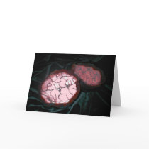 Brain Box cards by mgerber Brain Box cards