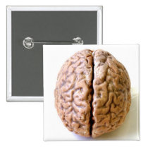 brain button buttons