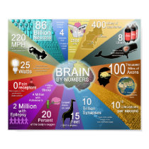 Brain By Numbers posters