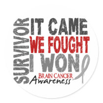 Brain Cancer Survivor It Came We Fought I Won stickers by awarenessgifts Brain Cancer Survivor It Came We Fought I Won stickers