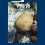 Brain Coral Card cards