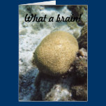 Brain Coral Card cards
